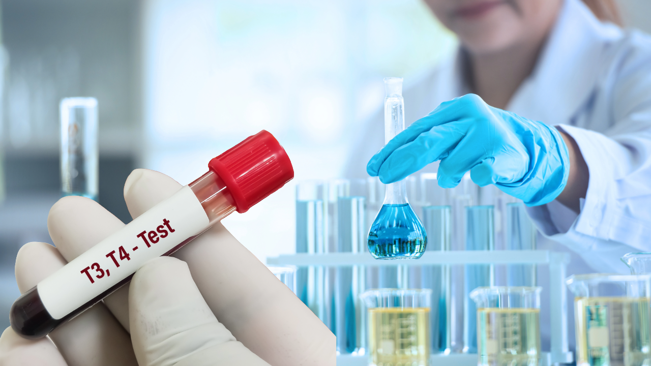 টি4 টেস্ট: T4 test: - Health Technology Master